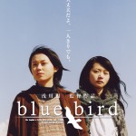 DVD_Bluebird_H1_ol